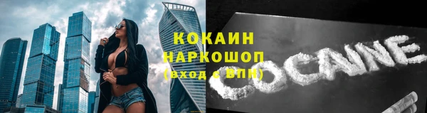 бошки Осташков