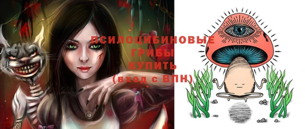 бошки Осташков
