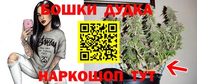 молекула духа Волжский