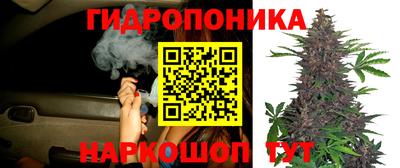 молекула духа Волжский