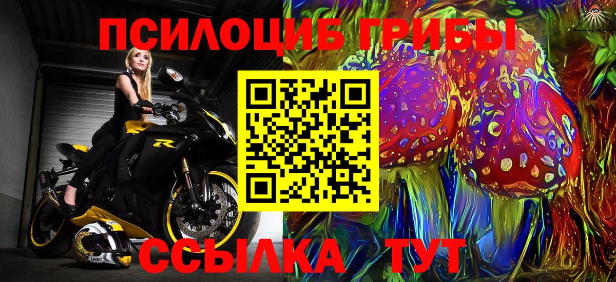 Скопин  Галлюциногенные грибы прущие грибы  Вход с VPN 